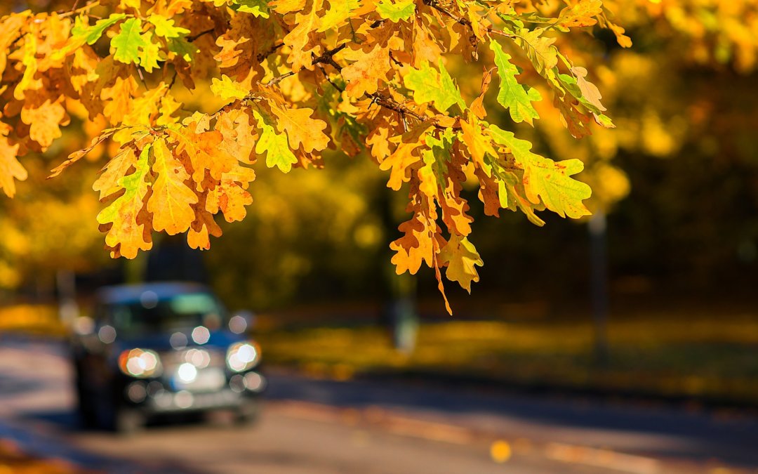 Herfst laat uw auto controleren