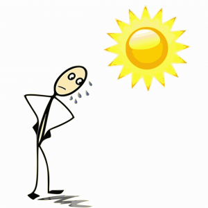 zon
