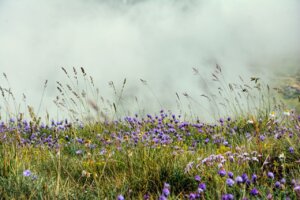 hemelvaartsdag